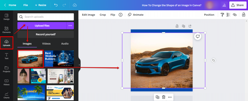 how-do-i-change-the-shape-of-an-image-in-canva-websitebuilderinsider