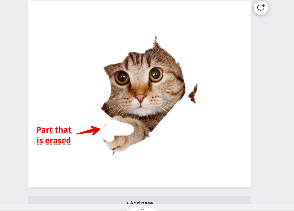 sample image after using eraser in Canva