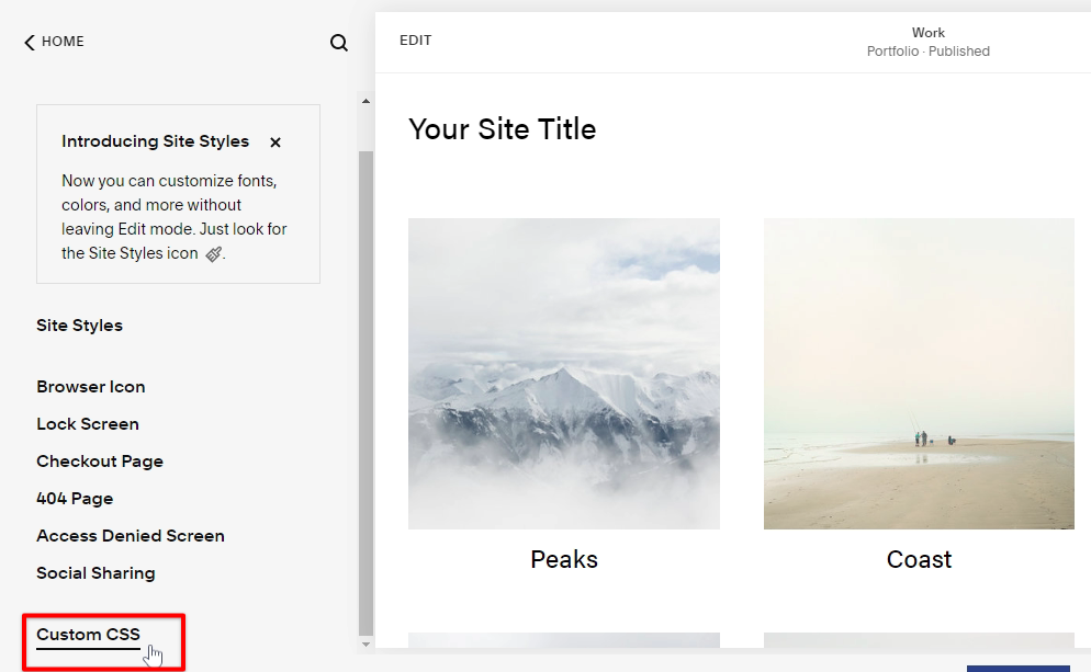 Go to Squarespace custom CSS tab