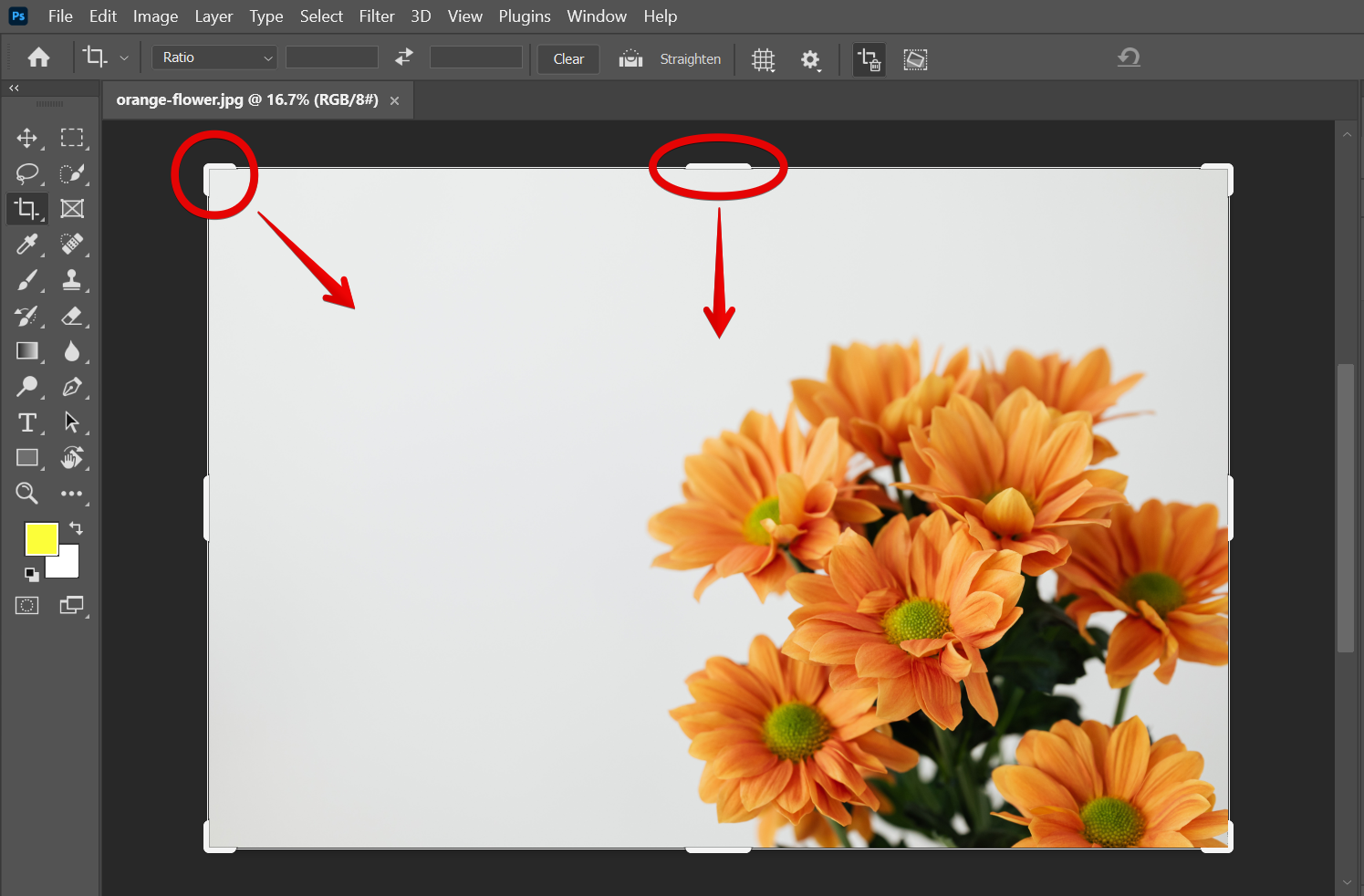 How Do I Crop A Selection In Photoshop WebsiteBuilderInsider