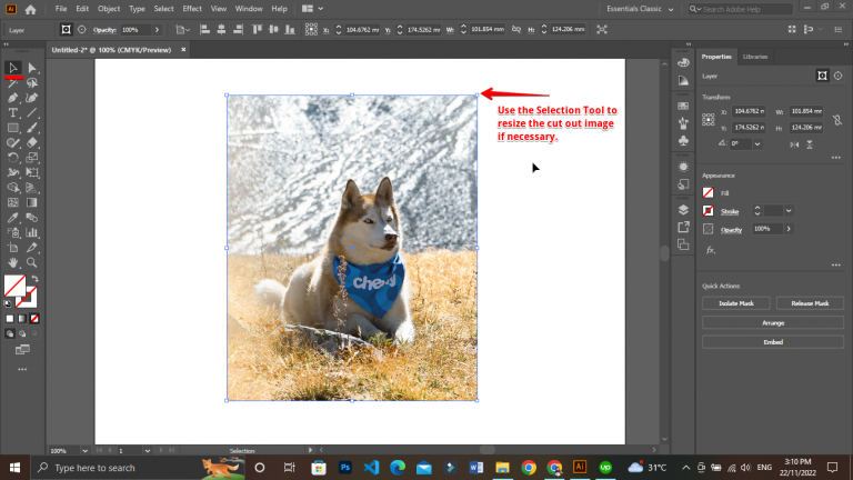 how-do-i-cut-out-part-of-an-image-in-illustrator