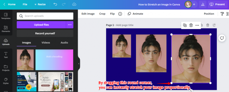 How To Stretch An Image In Canv A Working 2024 Guide   W01 768x311 